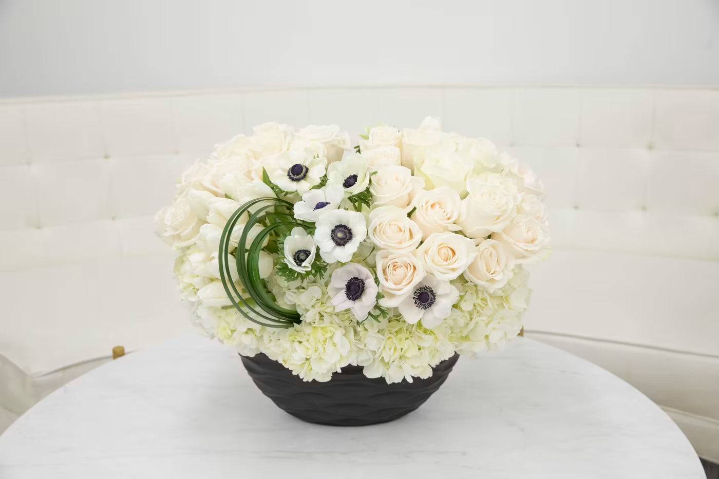 Classic White & Black