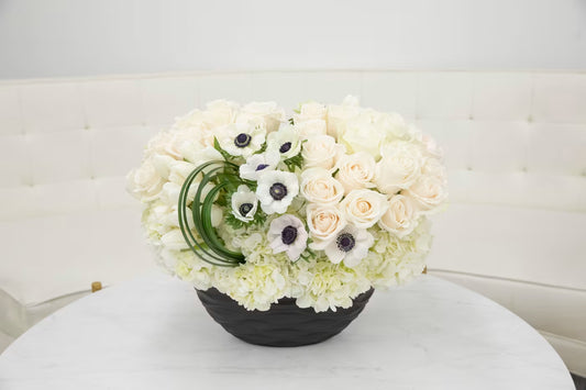 Classic White & Black