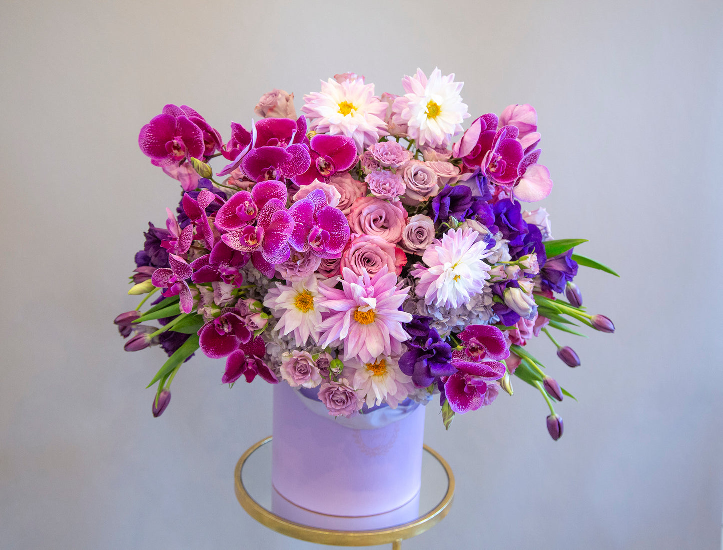 Purple Orchids