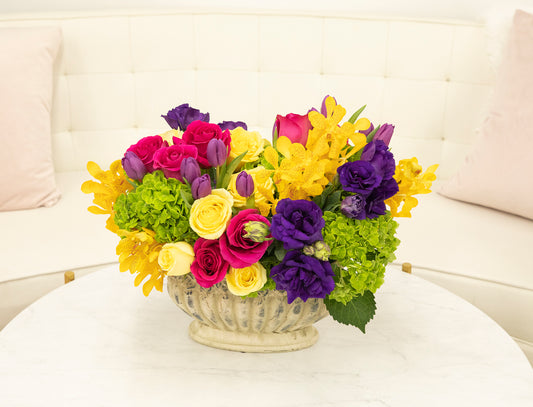 Purple Yellow